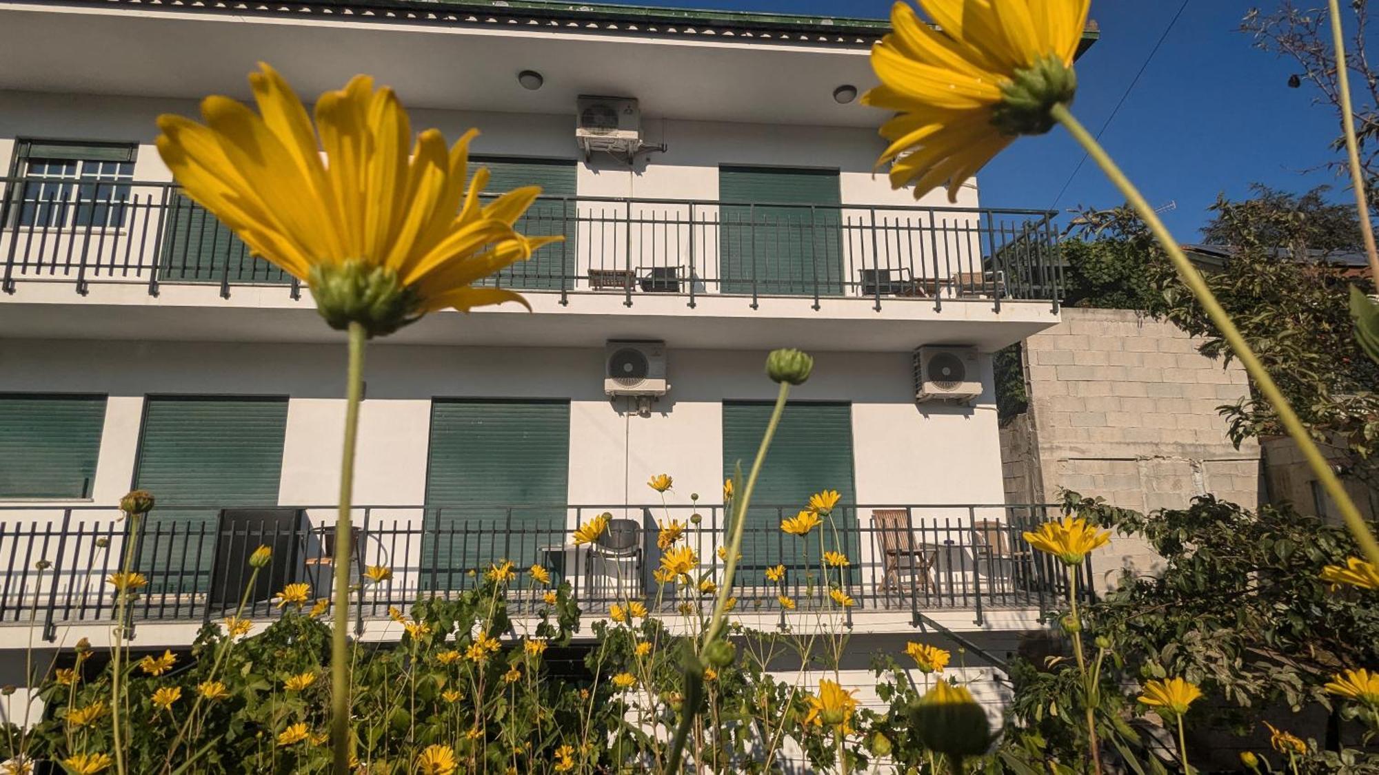 Casa Do Olival Hotel Peso da Régua Kültér fotó
