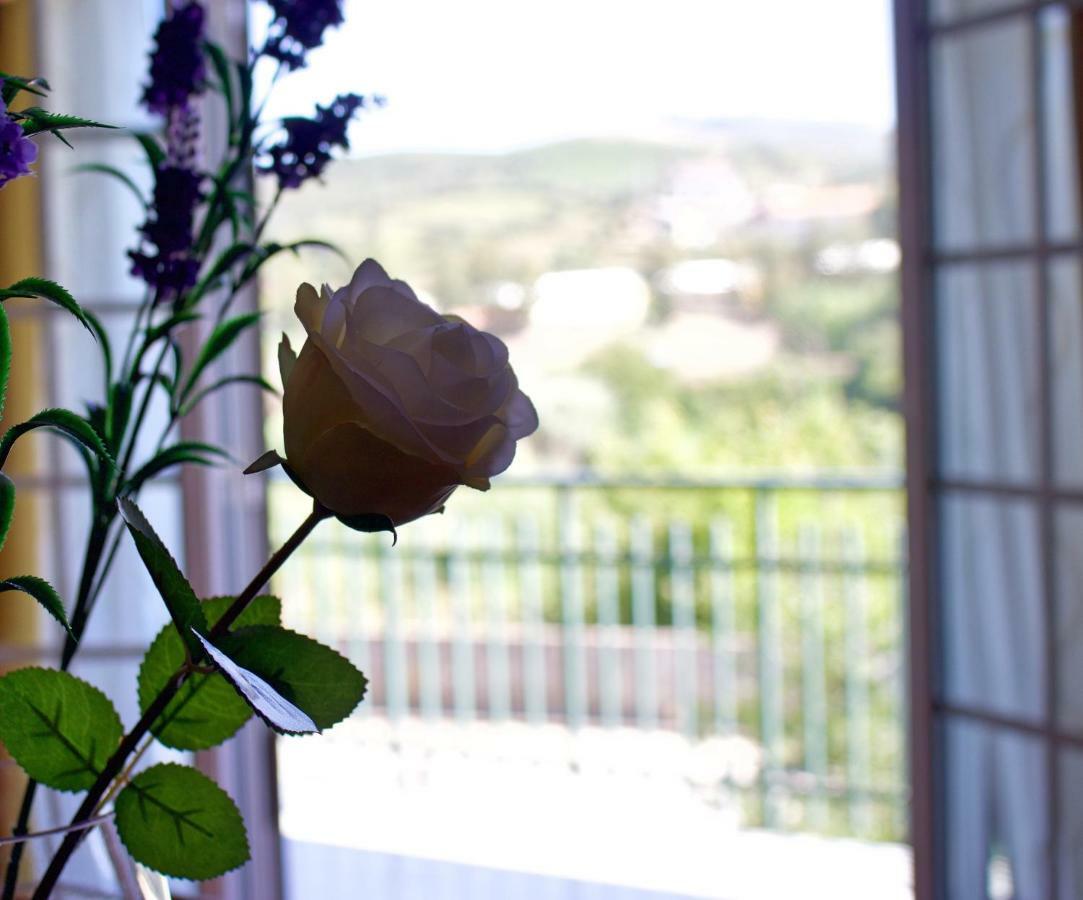 Casa Do Olival Hotel Peso da Régua Kültér fotó